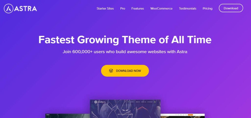 Best WordPress Themes for Blogs - Astra Theme